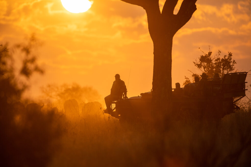 Backlit vehicle buffalo 