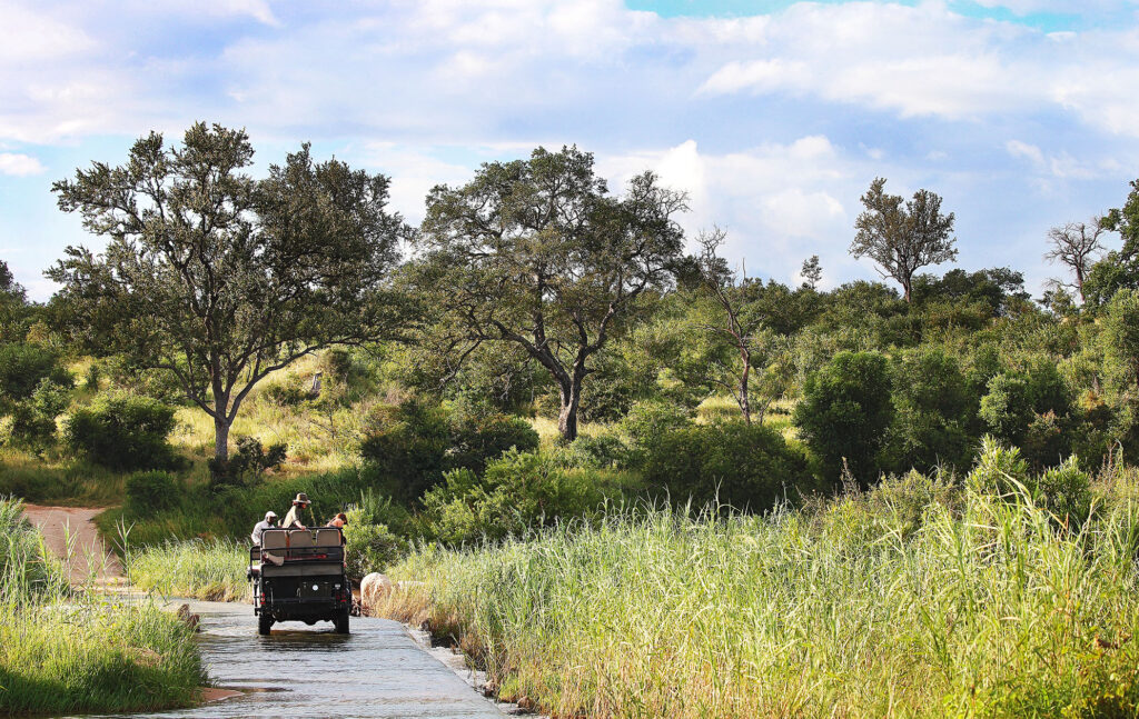 causeway on safari