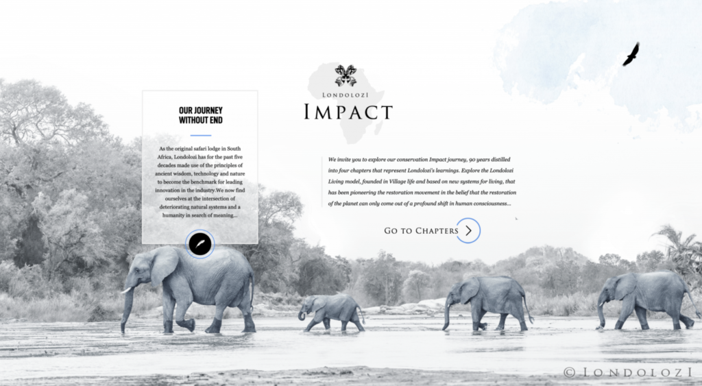 Impact 2nd page