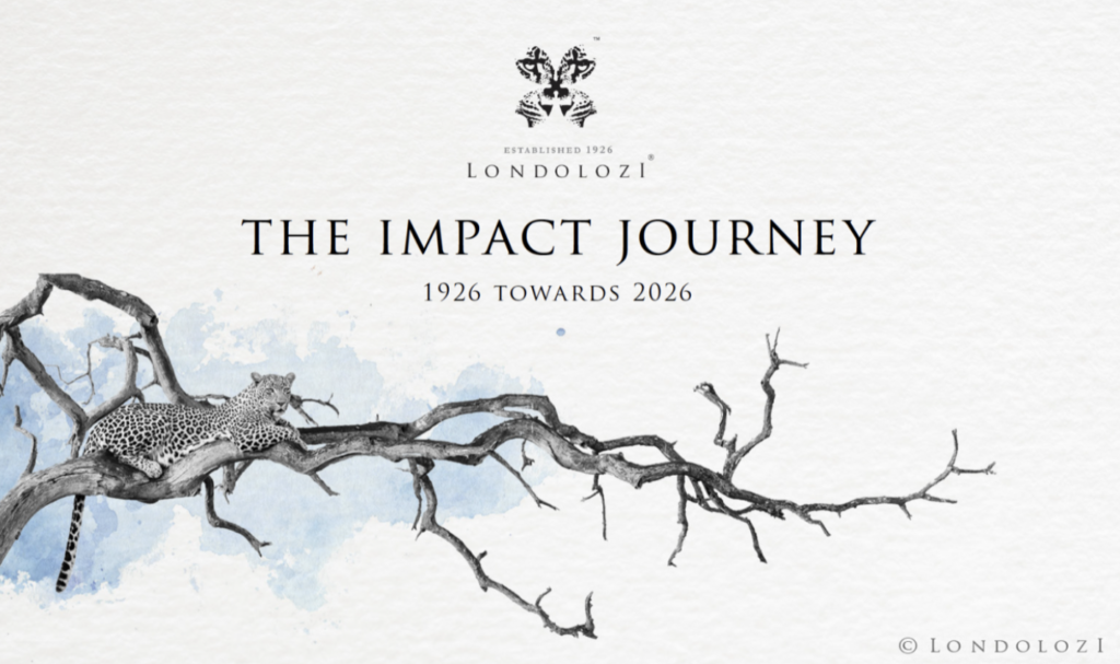 Impact Journey 