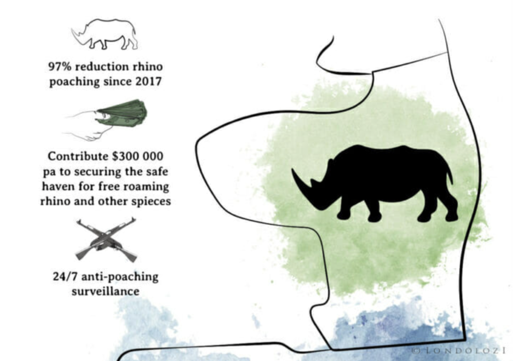 Rhino stats 