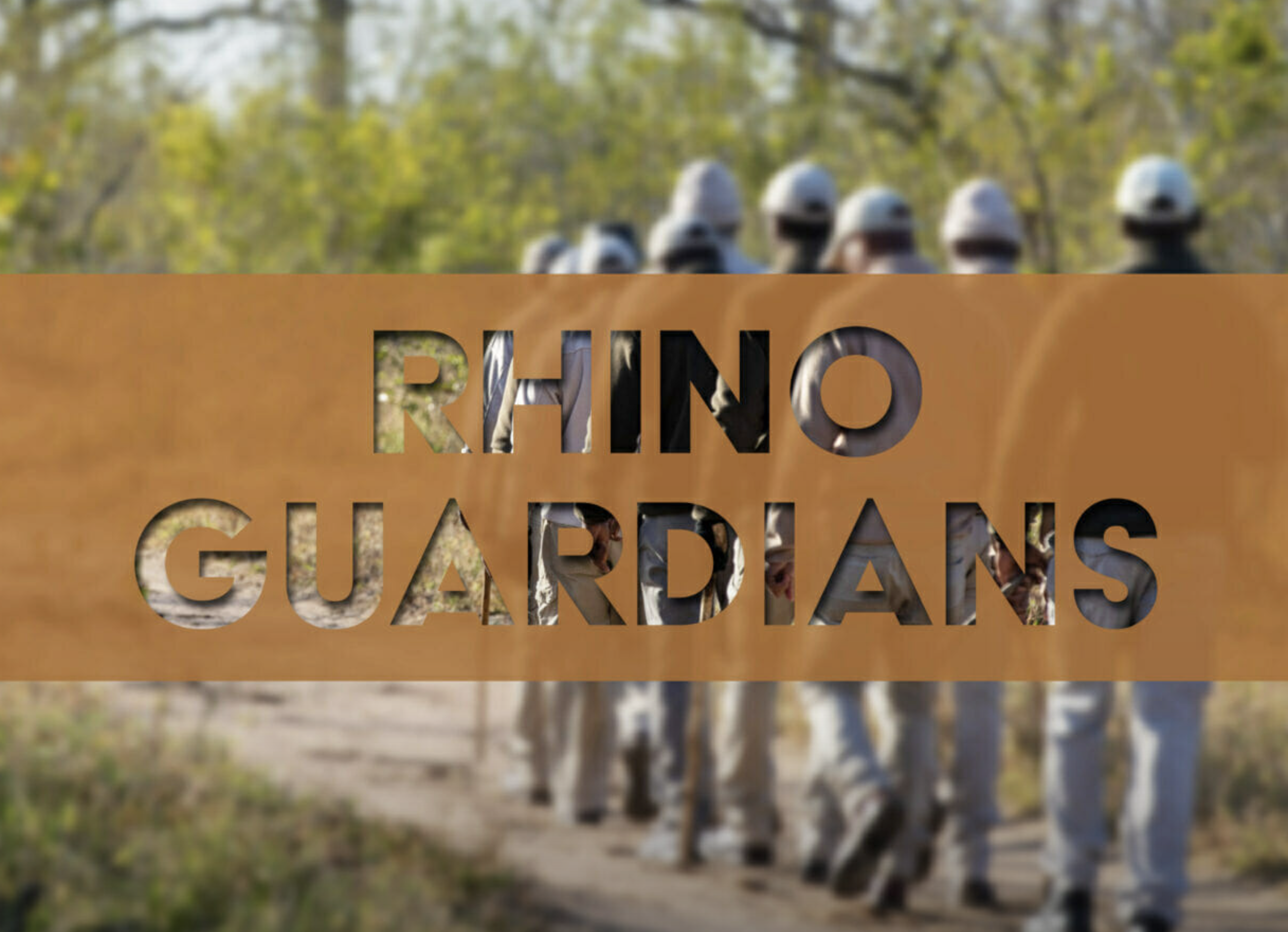 Rhino Guardians