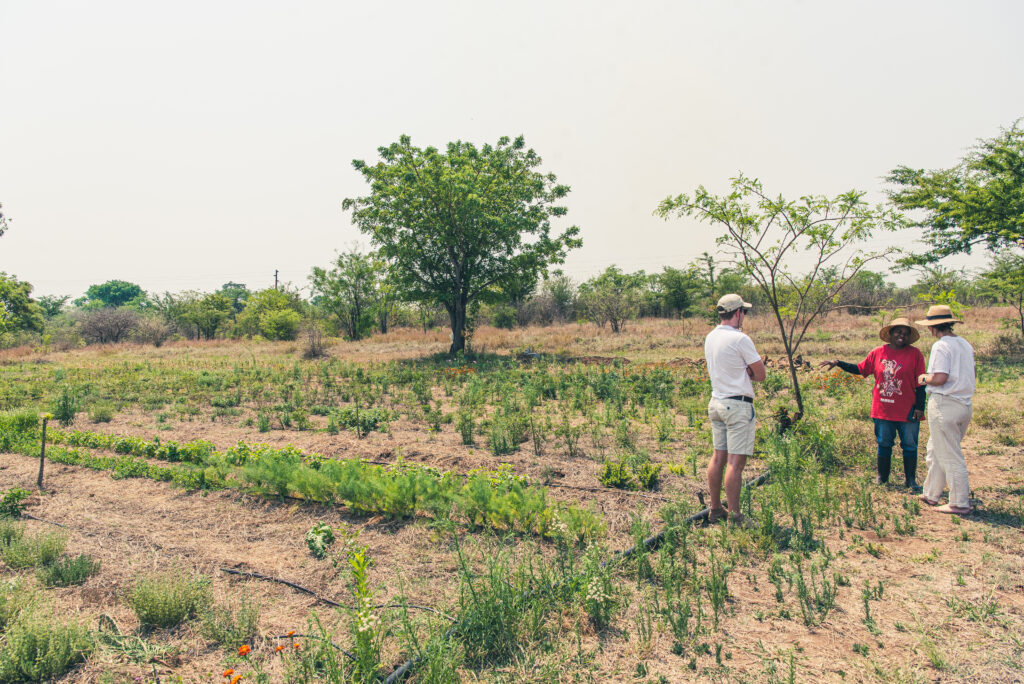 Ripple Farmers AR