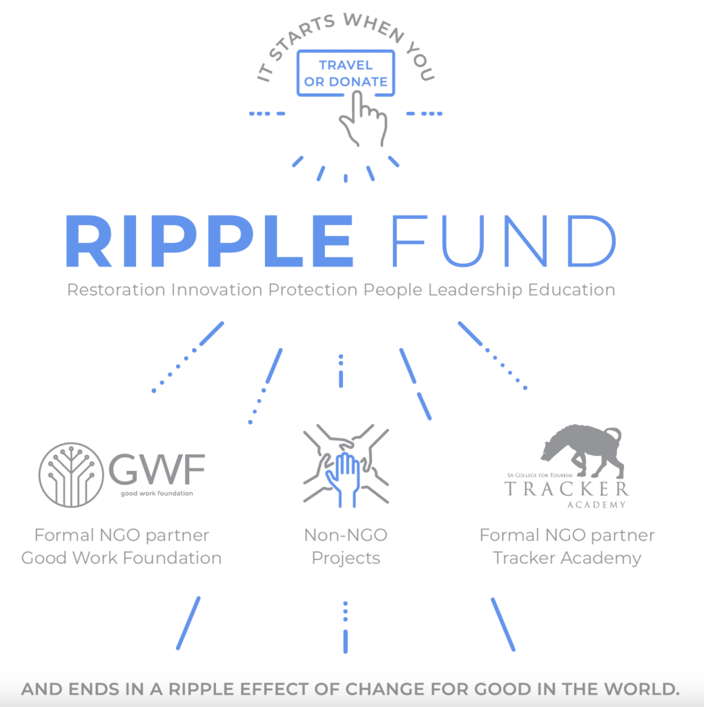 Ripple Fund Infographic 
