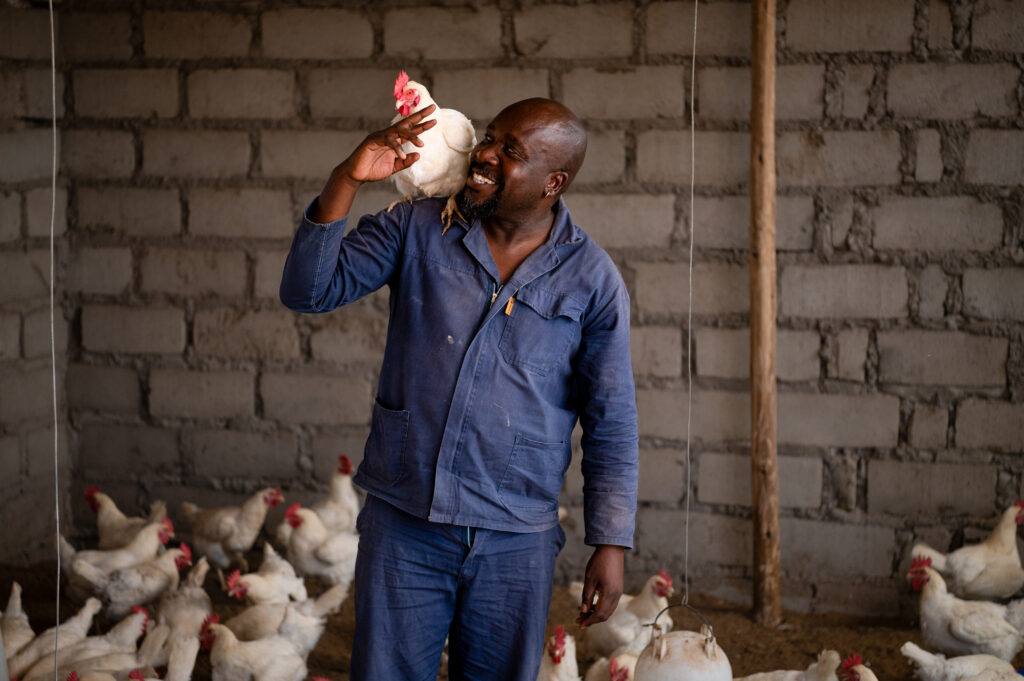 Mathebula chicken farmer